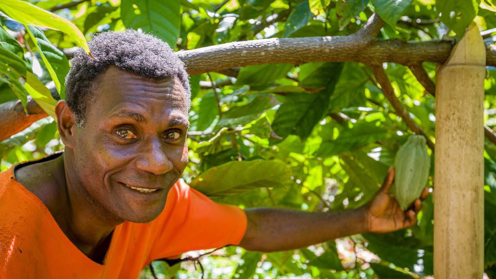 Vanuatu farmer shortlisted for International Cocoa Awards already a winner