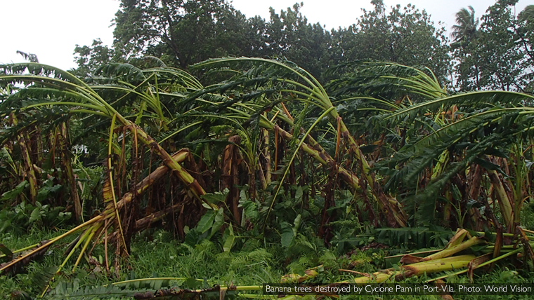 cyclone_pam_banana_trees_with_caption_760x428.jpg