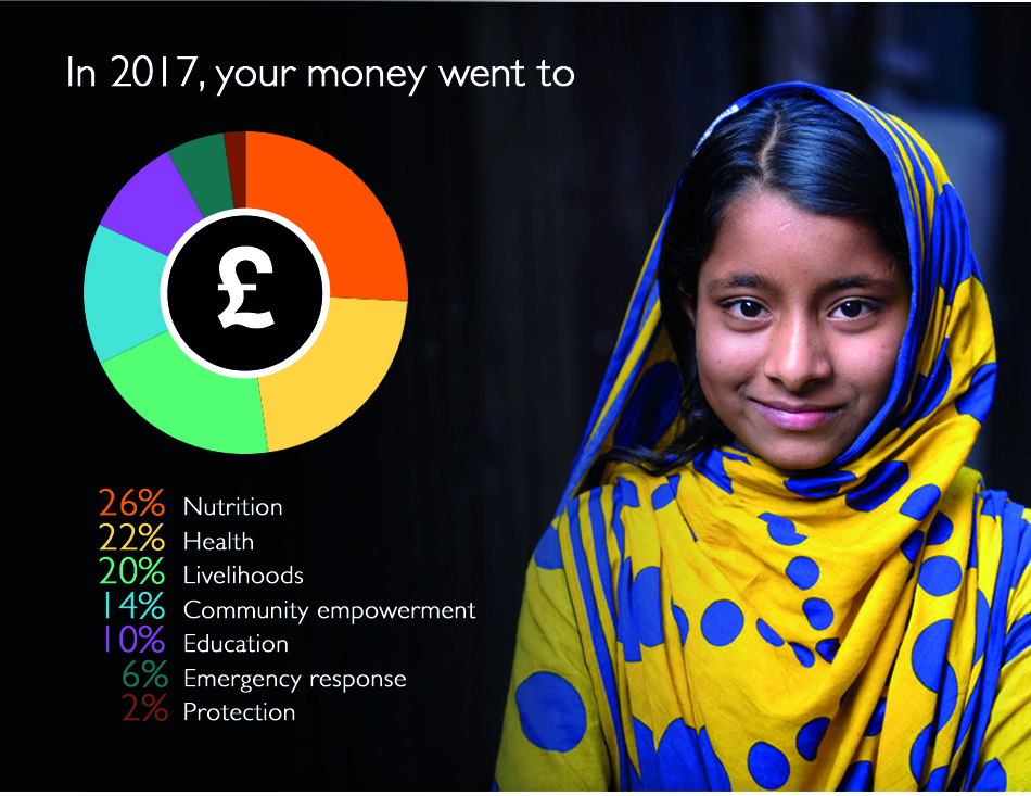 Annual report 2017 - how money was spent