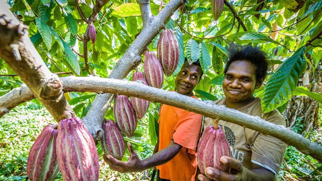 Moli and his wife Monique check out their crops